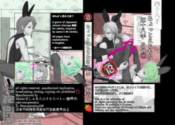 ちょっとえちちなリングドクター6 (同人誌)