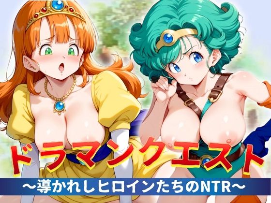 【ドラクエ】導かれしヒロインたちのNTR (同人誌)