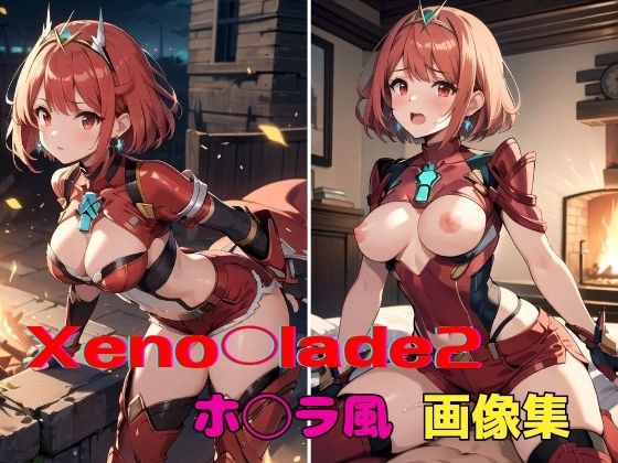 Xeno◯lade2 ホ◯ラ風 画像集 (同人誌)