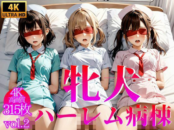 牝犬ハーレム病棟 Vol.2【4K】 (同人誌)