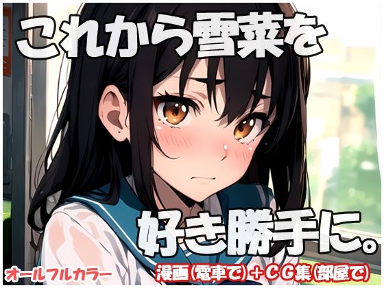 これから雪菜を好き勝手に (同人誌)