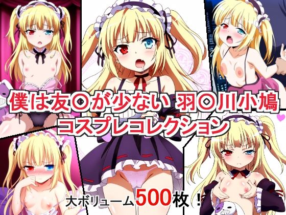 僕は友〇が少ない 羽〇川小鳩 コスプレコレクション (同人誌)