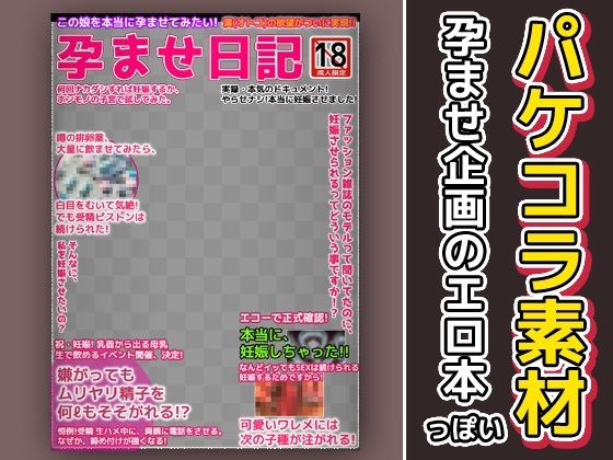 エロ本風パケコラ素材〜「孕ませ日記」 (同人誌)