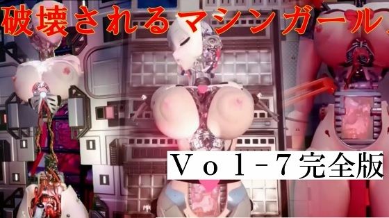 破壊されるマシンガールズVol7完全版 (同人誌)