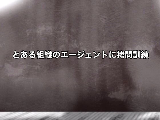 とある組織のエージェントに拷問訓練 (同人誌)
