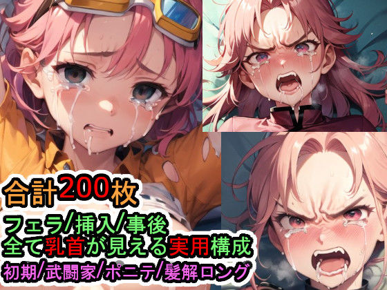 犯〇れるマ〇ム（ド〇ゴンク〇スト ダ〇の大冒険） (同人誌)