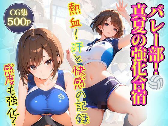 バレー部！真夏の強化合宿 (同人誌)