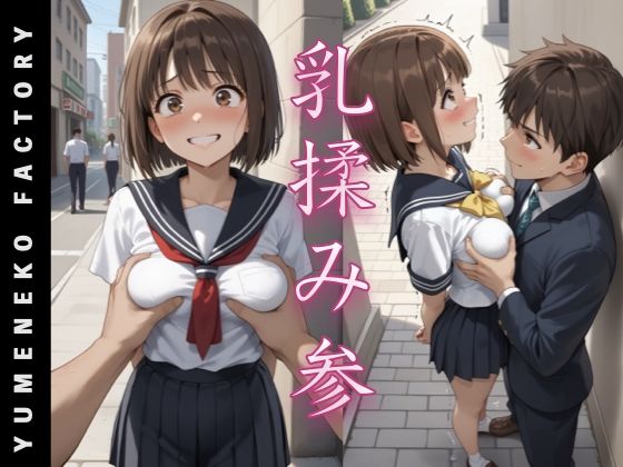 乳揉み（3） (同人誌)