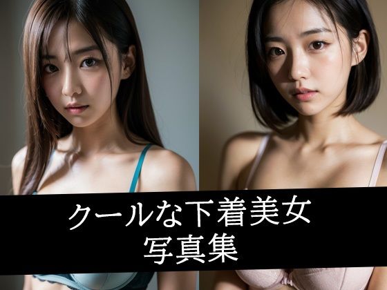 クールな下着美女写真集 (同人誌)