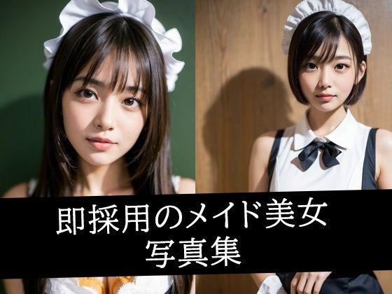 即採用のメイド美女写真集 (同人誌)