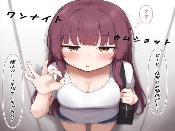 ワンナイト・カムショット (同人誌)