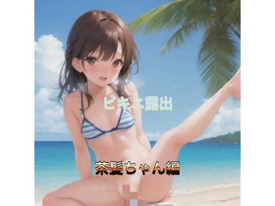 ビキニ露出 茶髪ちゃん編 ビキニ露出 茶髪ちゃん編 (同人誌)