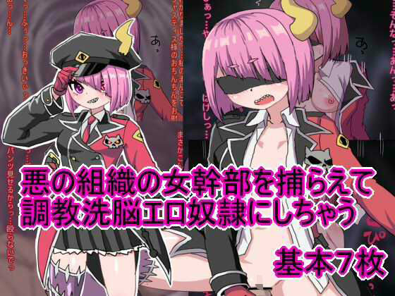 悪の組織の女幹部を捕らえて調教洗脳エロ奴●にしちゃう (同人誌)