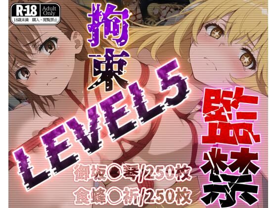 監禁拘束LEVEL5【フルカラー500枚】 (同人誌)