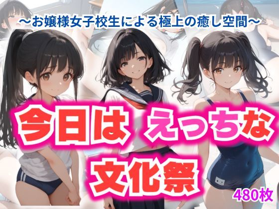 今日はえっちな文化祭 (同人誌)