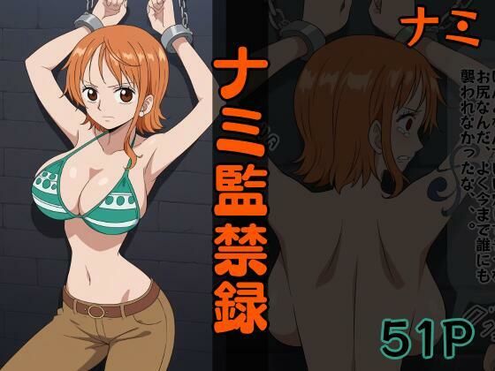 ナミ監禁録 (同人誌)