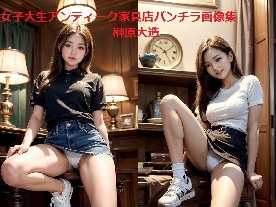 女子大生アンティーク家具店パンチラ画像集 (同人誌)