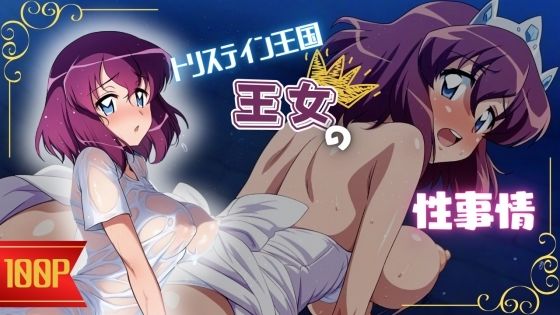 トリステイン王国王女の性事情 (同人誌)