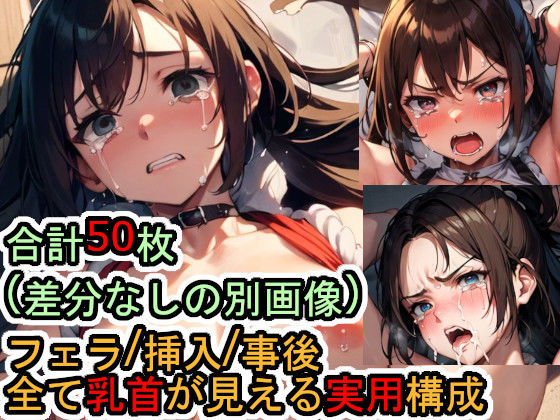 犯〇れる不知〇舞（餓〇伝説） (同人誌)