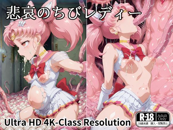 悲哀のちびレディー (同人誌)