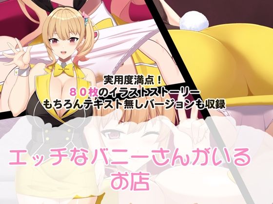 エッチなバニーさんがいるお店 (同人誌)