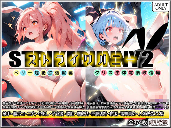 ストライクバニー2 (同人誌)