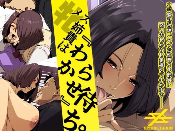 メス姉貴はわからせ待ち。 (同人誌)