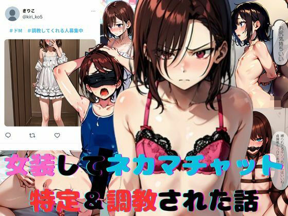 女装してネカマチャットしてたら特定＆調教された話 (同人誌)