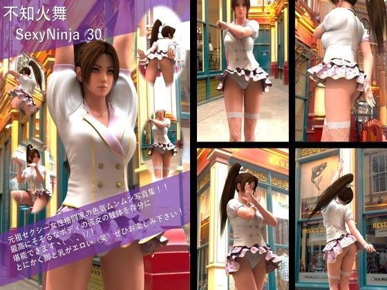 【TD100】元祖セクシー女性格闘家『不知火舞（しらぬいまい）』の写真集SexyNinja-30 (同人誌)