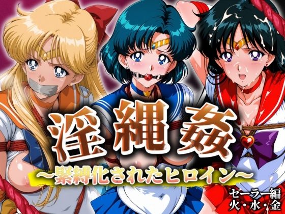 淫縄姦 〜緊縛化されたヒロイン〜 セーラー編 火・水・金 (同人誌)