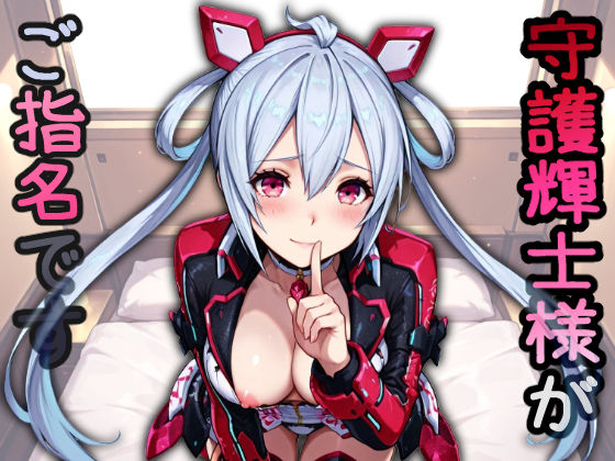 守護輝士がご指名です (同人誌)