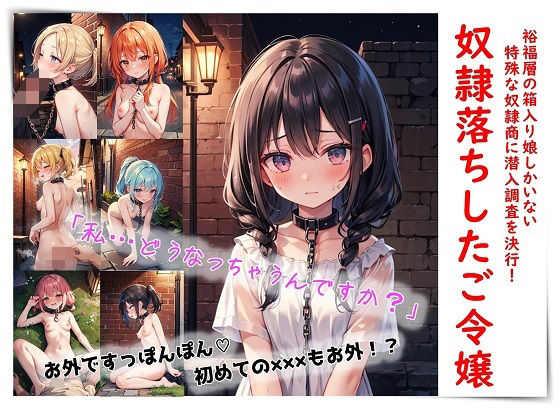 奴●落ちしたご令嬢 (同人誌)