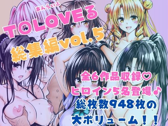 ToLOVEる総集編Vol.5 (同人誌)