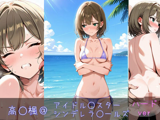 高○楓 ハードver (同人誌)