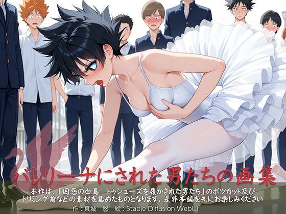 バレリーナにされた男たちの画集 (同人誌)