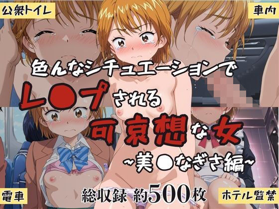 超絶不幸〜色んなシチュエーションでレ●プされる可哀想な女〜美●なぎさ編 (同人誌)