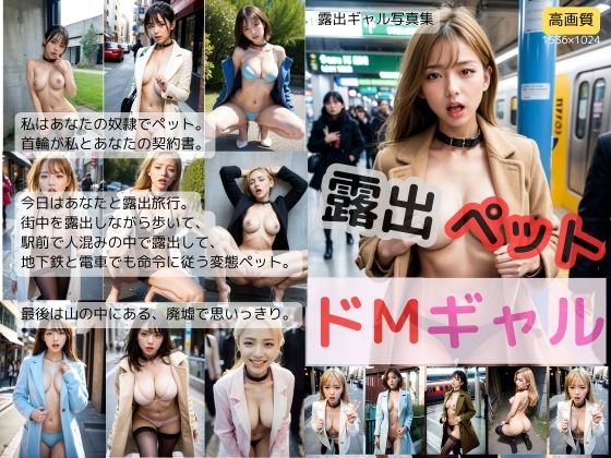 露出ペットドMギャル (同人誌)
