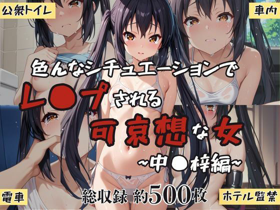 超絶不幸〜色んなシチュエーションでレ●プされる可哀想な女〜中●梓編 (同人誌)