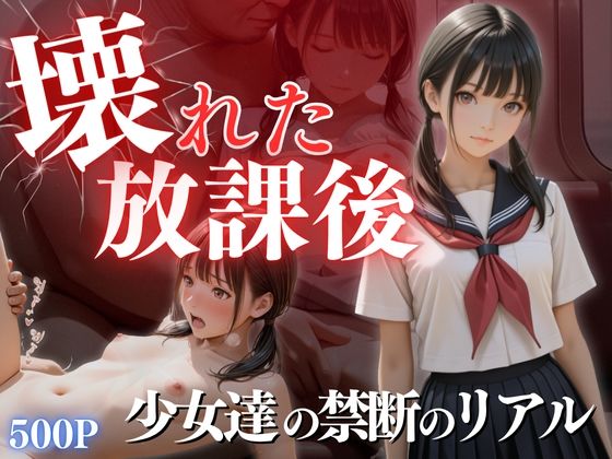 壊れた放課後 (同人誌)