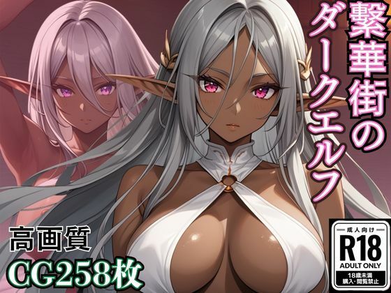 繫華街のダークエルフ (同人誌)