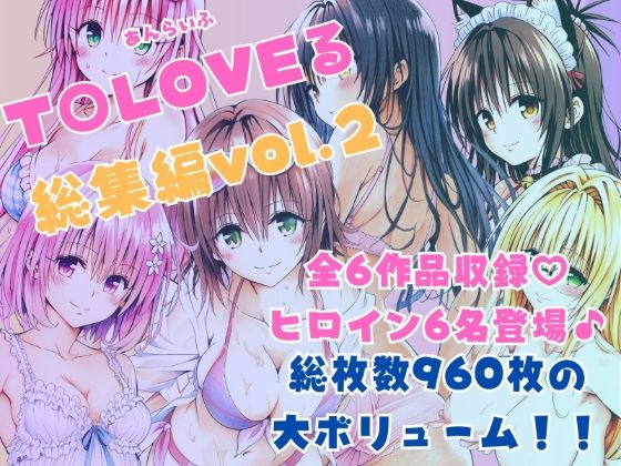 ToLOVEる総集編Vol.2 (同人誌)