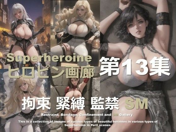 ヒロピン画廊 第13集 (同人誌)