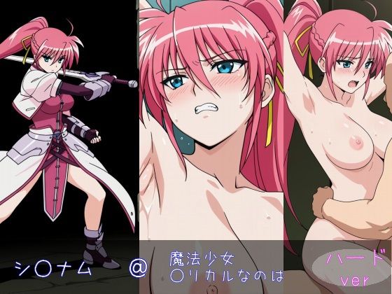 シ○ナム ハードver (同人誌)