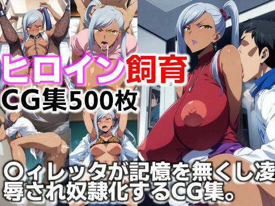 ヒロイン飼育  〇ィレッタが記憶を無くし凌●され奴●化するCG集 (同人誌)