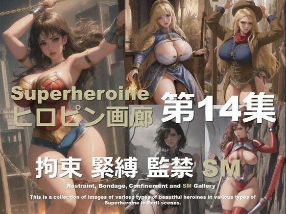 ヒロピン画廊 第14集 (同人誌)