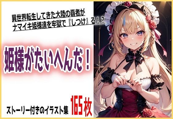 姫様がたいへんだ！ (同人誌)