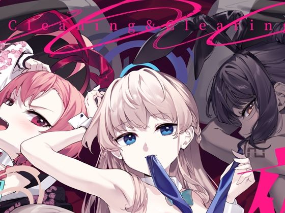 C＆C夜襲大作戦 (同人誌)