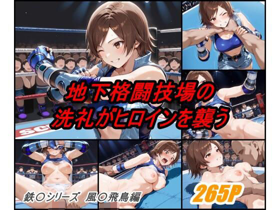 地下格闘技大会 風〇飛鳥編 (同人誌)