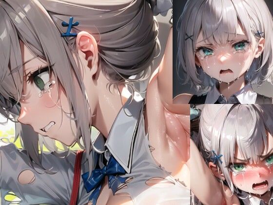 ハード・ノエ虐 妊娠前＆妊娠後ボテ腹 (同人誌)