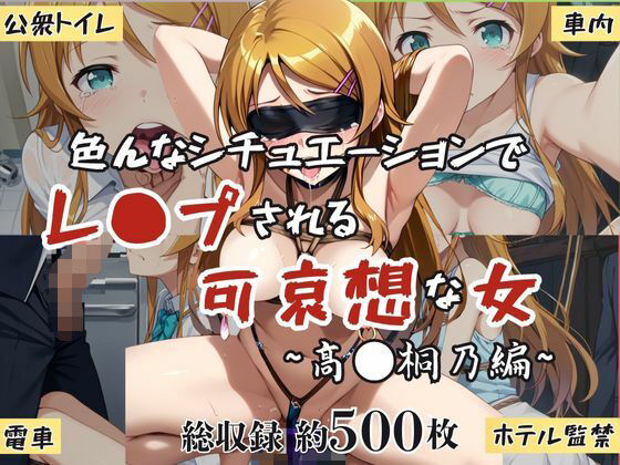 超絶不幸〜色んなシチュエーションでレ●プされる可哀想な女〜高●桐乃編 (同人誌)